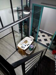 The Quinn (D19), Apartment #525774321